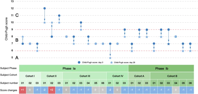 圖2：從基線到第28天，個(gè)人Child-Pugh評分的變化。