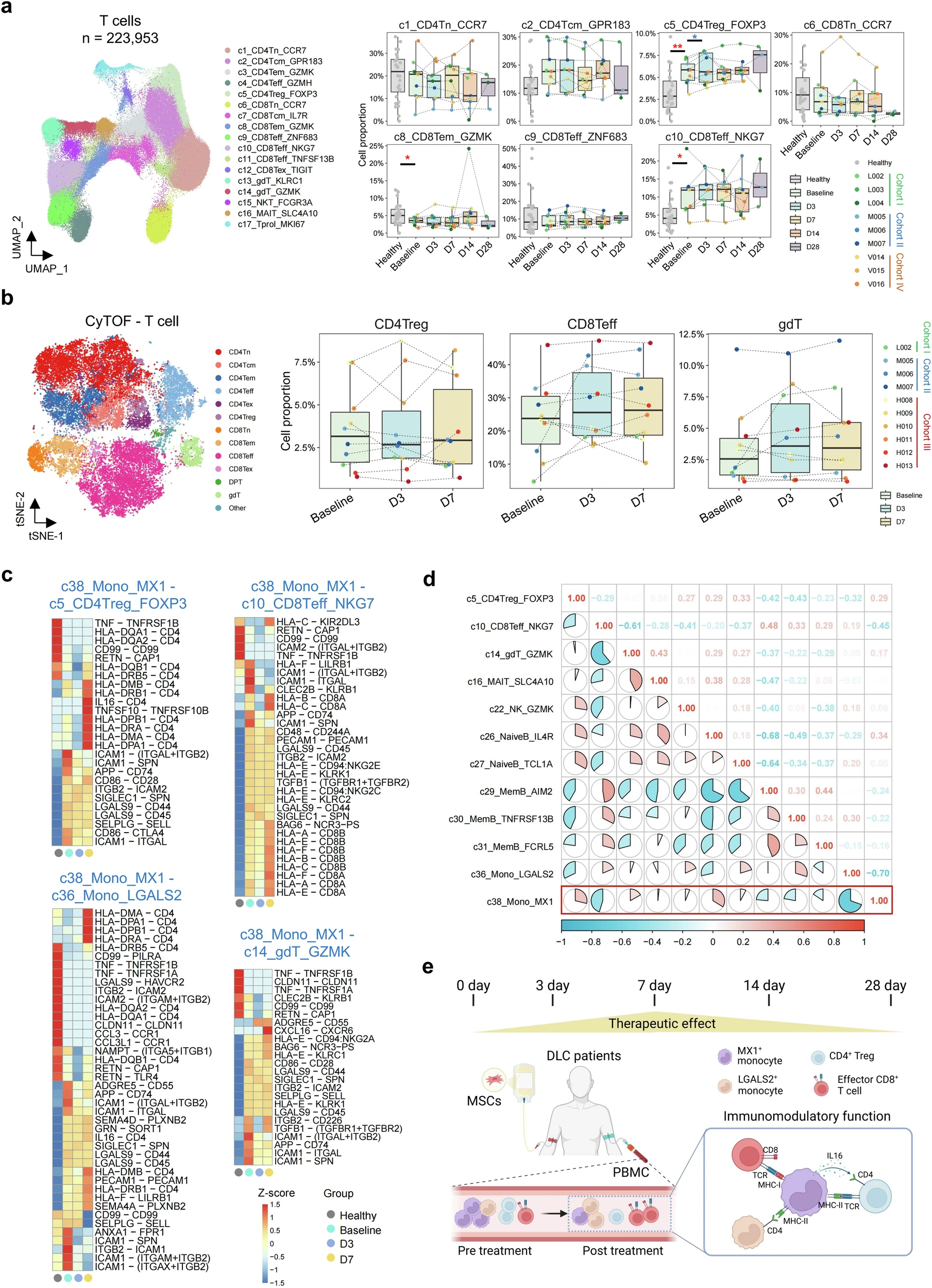 圖4：MSC治療下DLC患者中其他免疫細(xì)胞的變化及其與單核細(xì)胞的相互作用。