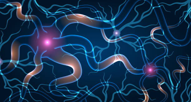 神經(jīng)干細(xì)胞移植效果如何？2025最新臨床進(jìn)展與患者案例深度解析