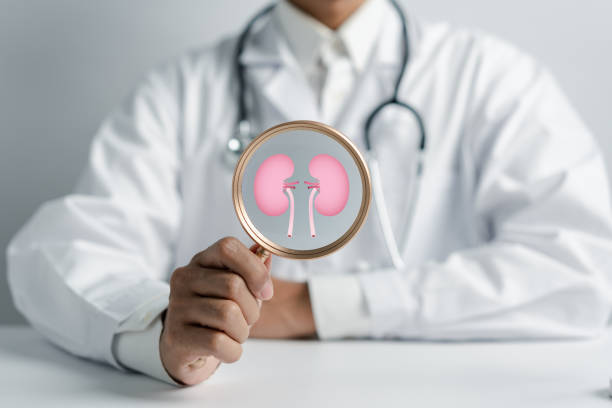 動(dòng)脈內(nèi)輸注間充質(zhì)干細(xì)胞治療糖尿病腎病，腎功能衰退顯著減緩