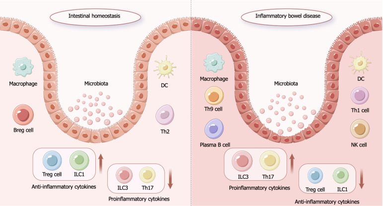 圖1：炎癥性腸病的發(fā)病機(jī)制。