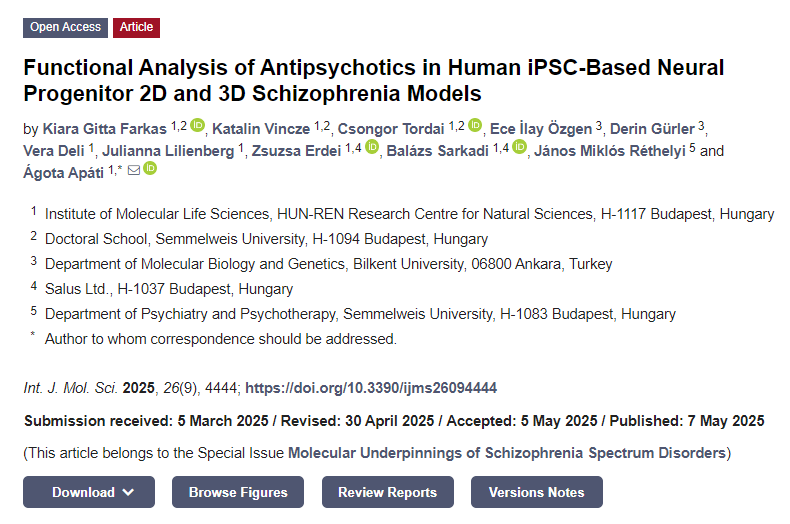 抗精神病藥物在基于人類 iPSC 的神經(jīng)祖細(xì)胞2D和3D精神分裂癥模型中的功能分析