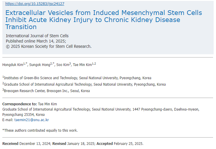 誘導(dǎo)間充質(zhì)干細(xì)胞的細(xì)胞外囊泡抑制急性腎損傷向慢性腎病的轉(zhuǎn)變 誘導(dǎo)間充質(zhì)干細(xì)胞的細(xì)胞外囊泡抑制急性腎損傷向慢性腎病的轉(zhuǎn)變