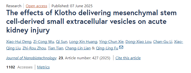 Klotho遞送間充質(zhì)干細(xì)胞來源的小細(xì)胞外囊泡對急性腎損傷的影響 Klotho遞送間充質(zhì)干細(xì)胞來源的小細(xì)胞外囊泡對急性腎損傷的影響