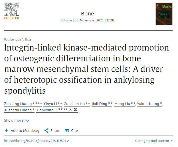 整合素連接激酶介導(dǎo)促進(jìn)骨髓間充質(zhì)干細(xì)胞成骨分化：強(qiáng)直性脊柱炎異位骨化的驅(qū)動(dòng)因素