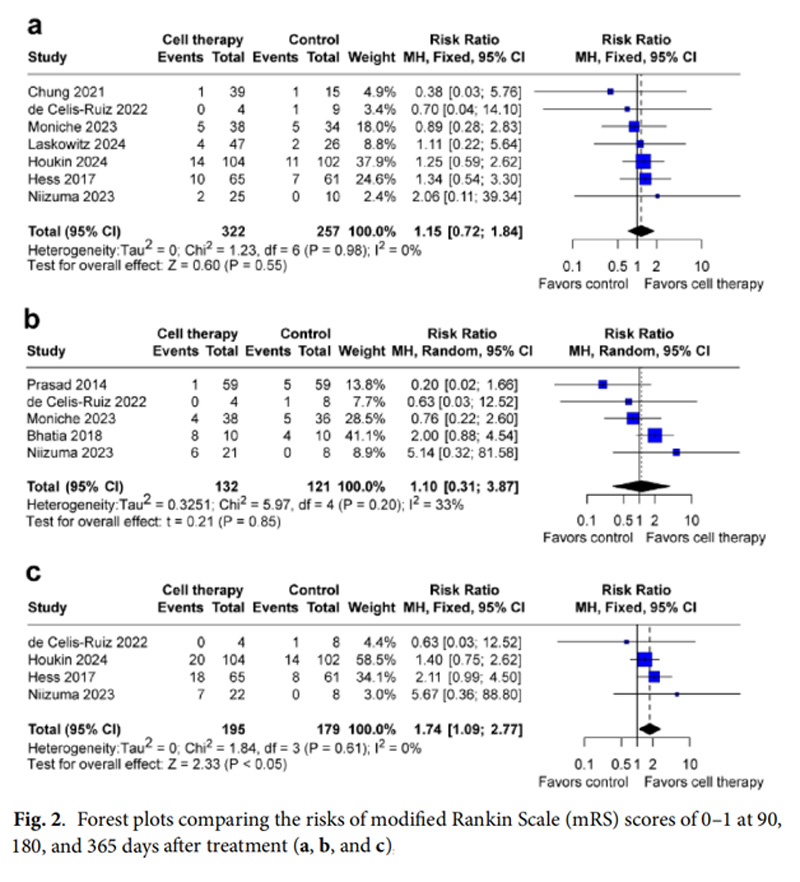 腦卒中臨床試驗(yàn) 腦卒中臨床試驗(yàn)
