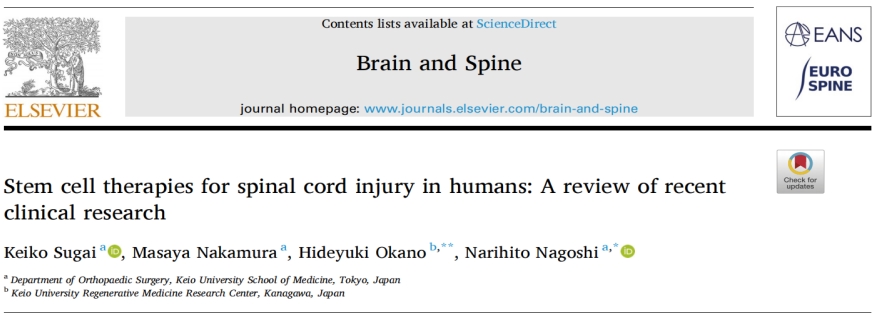 干細(xì)胞治療 干細(xì)胞治療