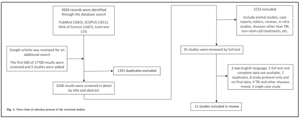 干細(xì)胞移植 干細(xì)胞移植