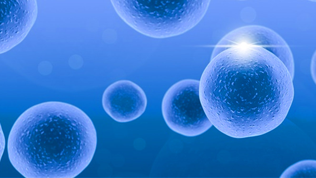 干細(xì)胞治療 干細(xì)胞治療