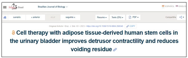 干細(xì)胞移植
