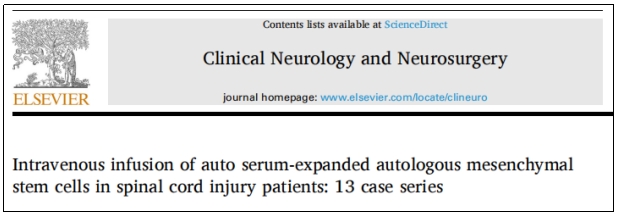 干細胞治療 干細胞治療