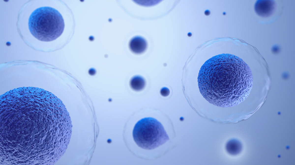 干細(xì)胞治療 干細(xì)胞治療