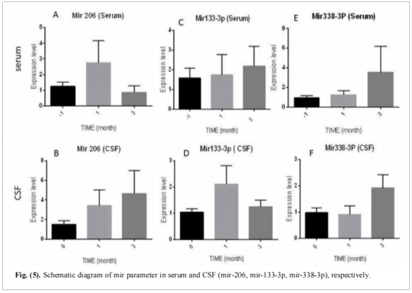 圖3：血清和腦脊液中miRNA參數(shù)的示意圖(mir-206、mir-133-3p、mir-338-3p)