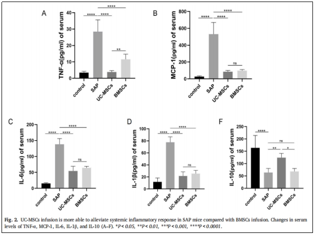 圖2：與BMSCS相比，UC-MSCs的輸注更能緩解SAP小鼠的系統(tǒng)性炎癥反應(yīng)。
