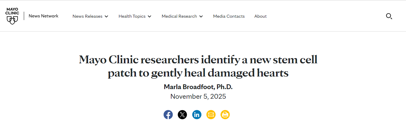 梅奧診所的研究人員發(fā)明了一種新型干細(xì)胞貼片，可以溫和地修復(fù)受損心臟