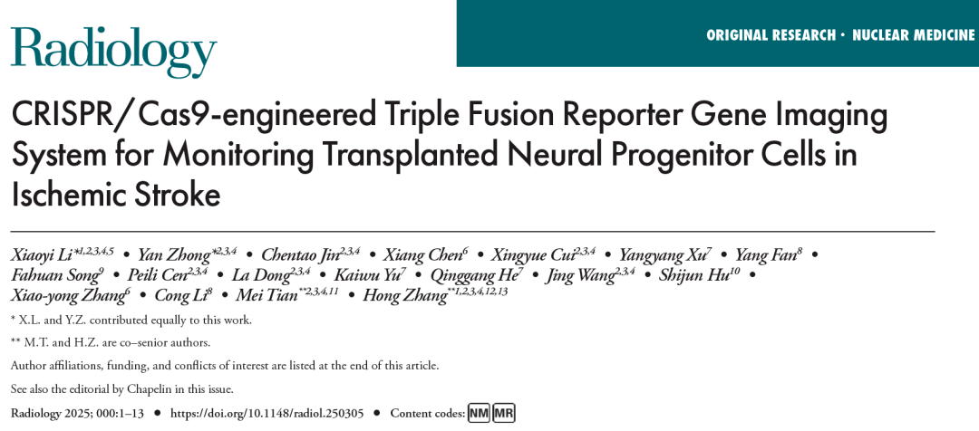 利用 CRISPR/Cas9 技術(shù)構(gòu)建的三融合報(bào)告基因成像系統(tǒng)監(jiān)測(cè)缺血性中風(fēng)中移植的神經(jīng)祖細(xì)胞