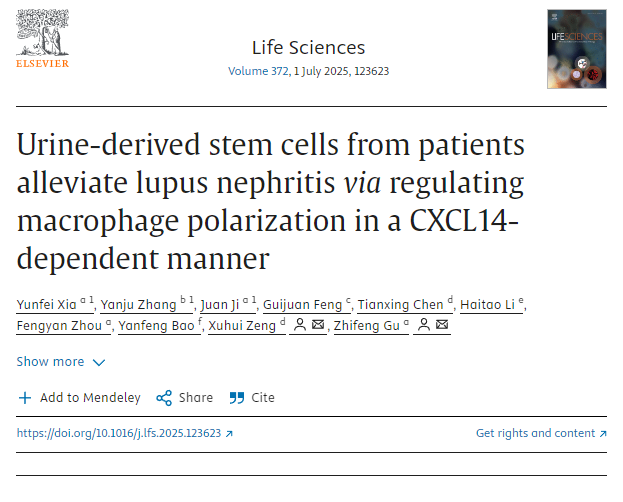 患者尿液來源的干細(xì)胞通過CXCL14依賴性方式調(diào)節(jié)巨噬細(xì)胞極化，從而緩解狼瘡性腎炎