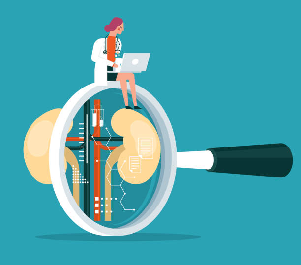 透析、腎移植還是干細(xì)胞治療？3種慢性腎病治療方法的全面比較與選擇指南