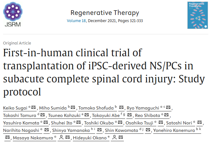 首次人體臨床試驗：移植誘導(dǎo)多能干細(xì)胞來源的神經(jīng)干細(xì)胞/祖細(xì)胞治療亞急性完全性脊髓損傷：研究方案